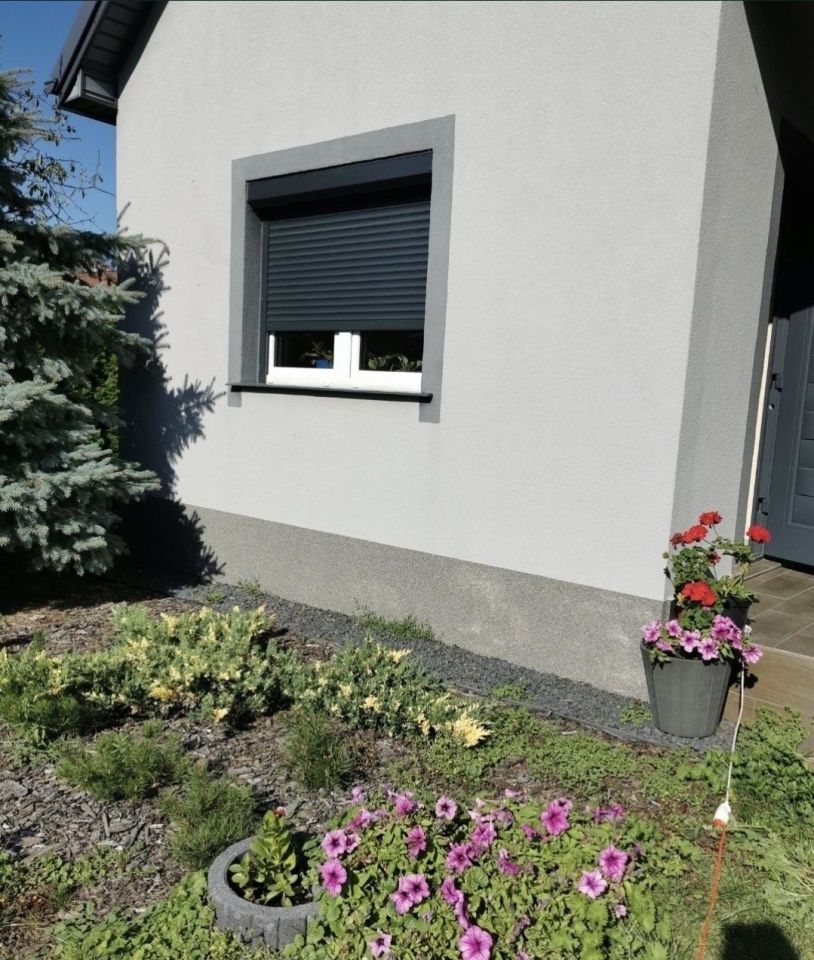 Działka rod Płock, ul. Narodowych Sił Zbrojnych. Zdjęcie 4