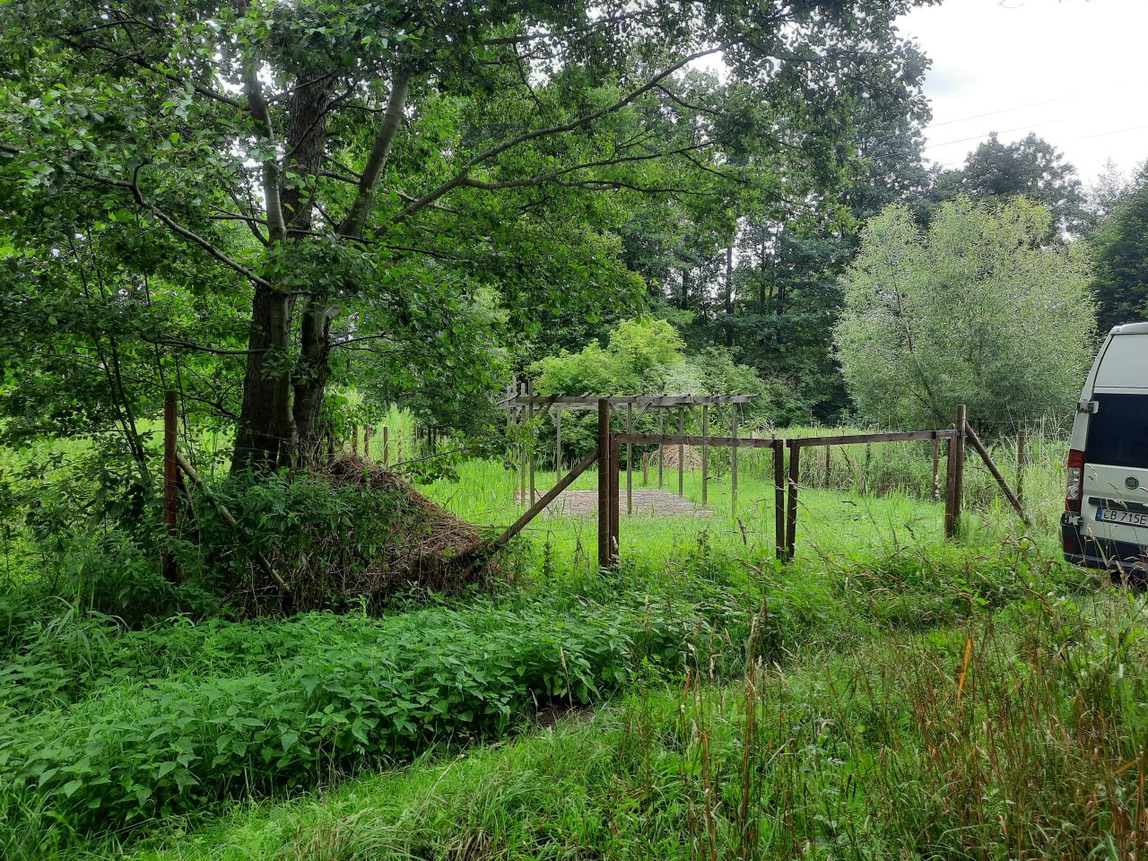 Działka rekreacyjna Minikowo. Zdjęcie 21