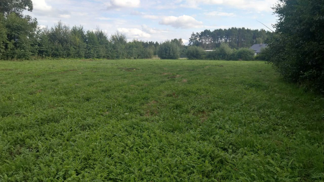 Działka rolna Brzeźce, ul. Ogrodowa. Zdjęcie 6