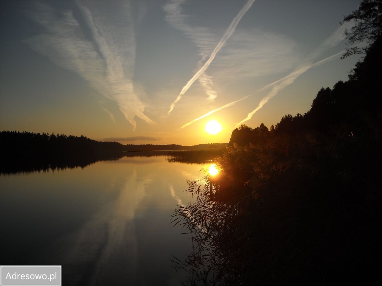 Działka budowlana Walne. Zdjęcie 10