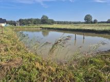 Działka rolno-budowlana Ogrodzisko. Zdjęcie 1