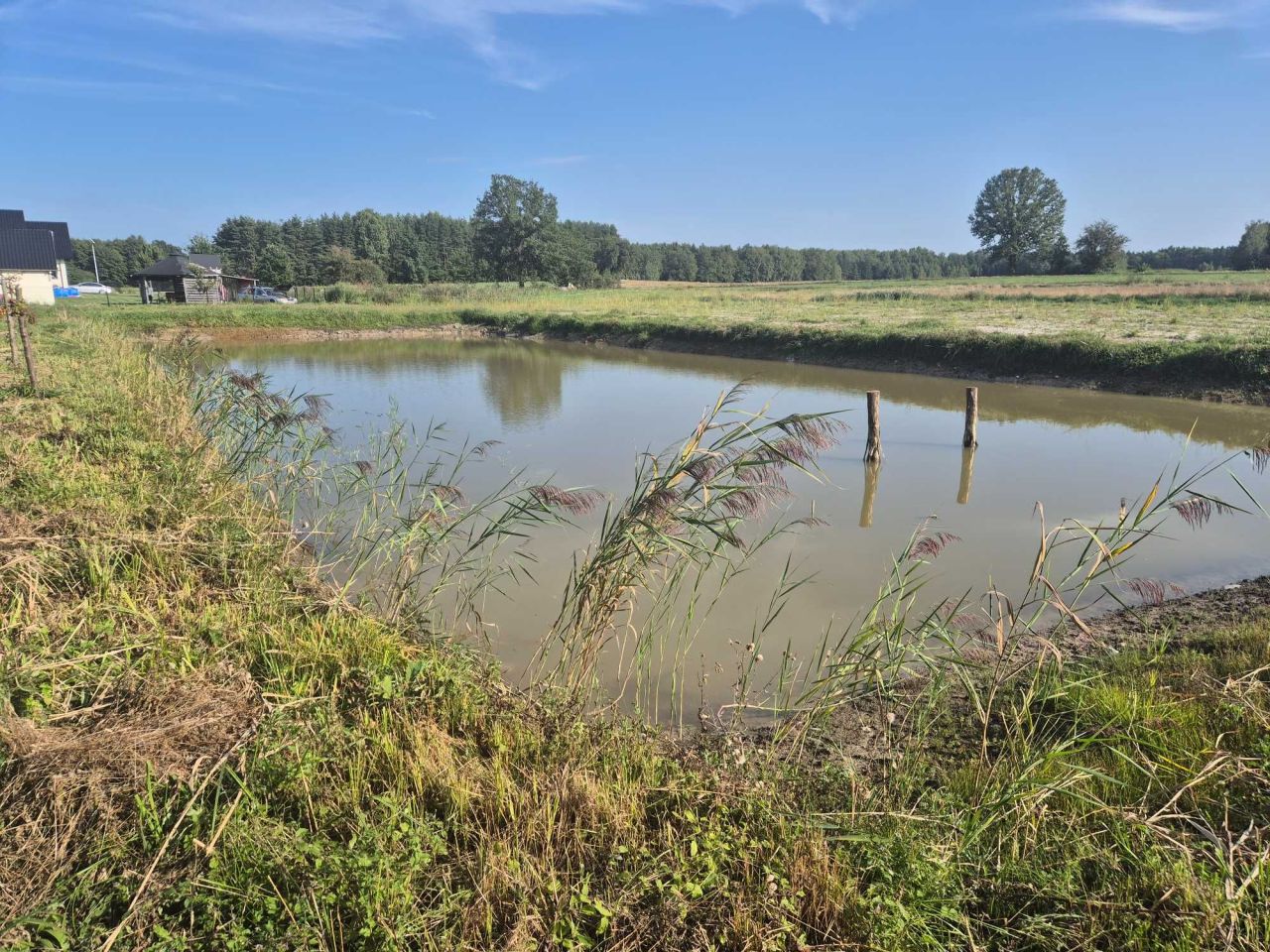 Działka rolno-budowlana Ogrodzisko. Zdjęcie 2