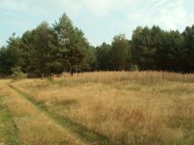 Działka rolno-budowlana Łowyń, Leśna. Zdjęcie 3