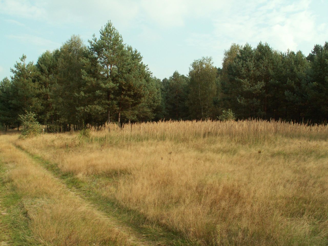 Działka rolno-budowlana Łowyń, Leśna. Zdjęcie 4