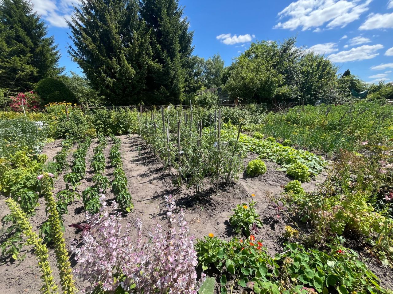 Działka rod Chełm. Zdjęcie 6