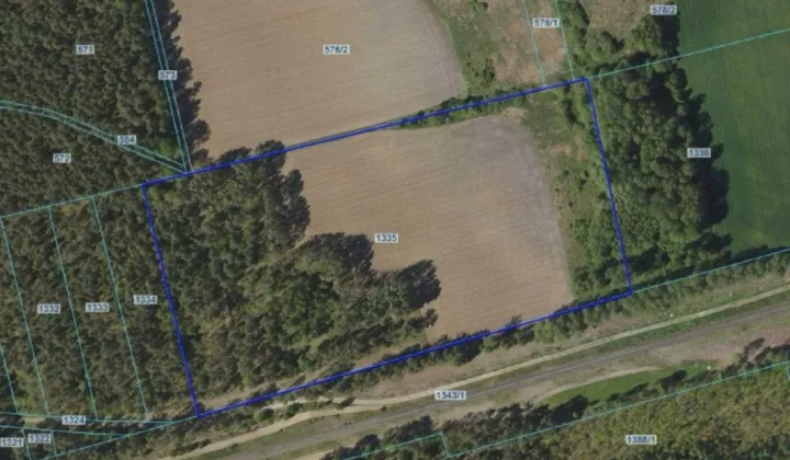 Działka rolno-budowlana Waliły-Stacja