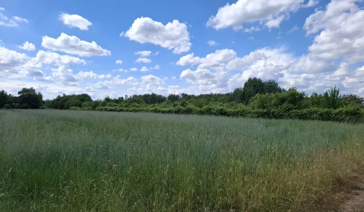 Działka rekreacyjna Pęczniew Pólko, ul. Wodna