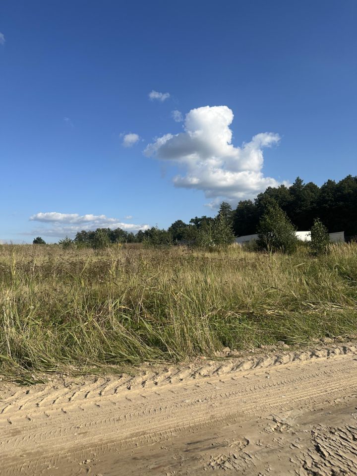 Działka budowlana Rusinowo Pod Rypin. Zdjęcie 1