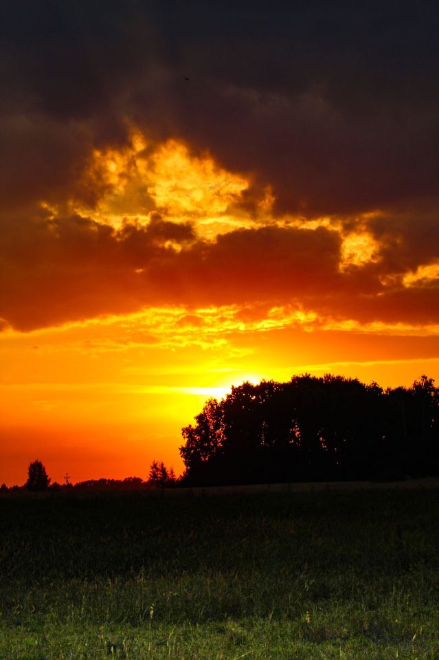 Działka rolna Tworkowice. Zdjęcie 2