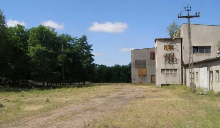 Hala/magazyn Masanów, ul. Lipowa