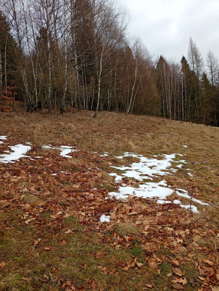 Działka rolno-budowlana Kocierz Rychwałdzki. Zdjęcie 5