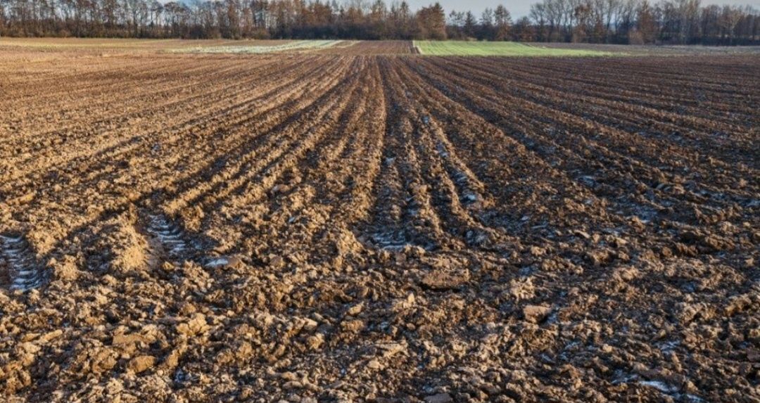 Działka rolna Kalinowice Dolne. Zdjęcie 1