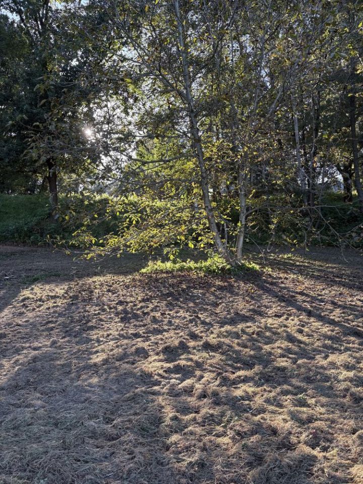 Działka budowlana Skrzyszów. Zdjęcie 2