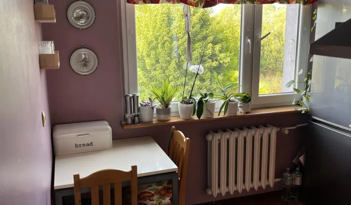 Mieszkanie 2-pokojowe Ruda Śląska Bykowina, ul. Bolesława Chrobrego