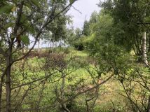 Działka budowlana Kampinos A. Zdjęcie 3