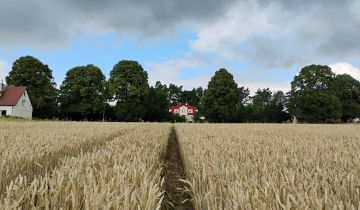 Działka rolna Olszewo