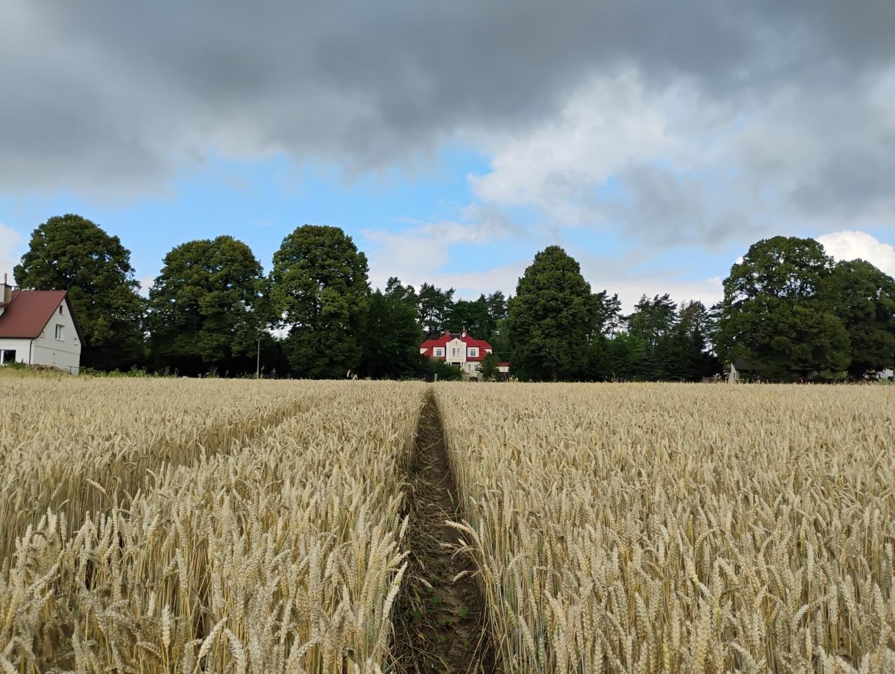 Działka rolna Olszewo. Zdjęcie 2