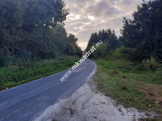 Działka budowlana Pieńki Zarębskie. Zdjęcie 5