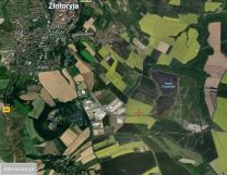 Działka rolna Wilków. Zdjęcie 1