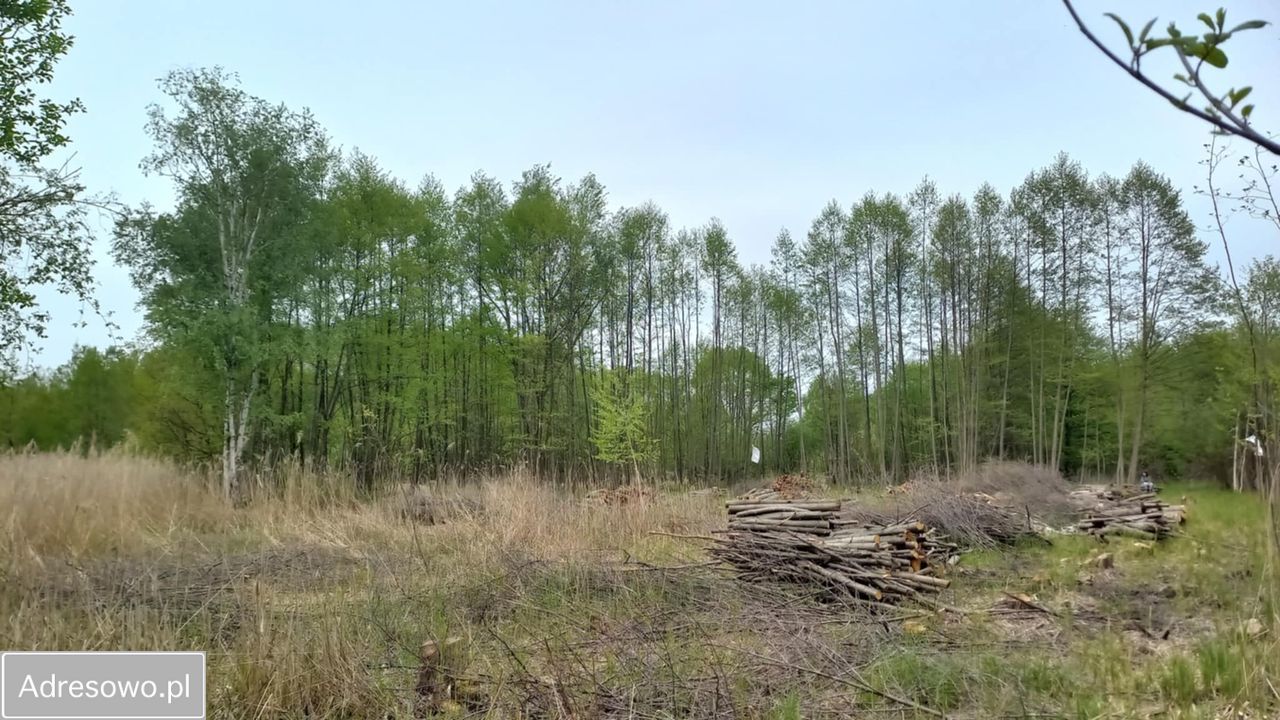 Działka budowlana Pilawa, ul. Jana Kochanowskiego. Zdjęcie 7