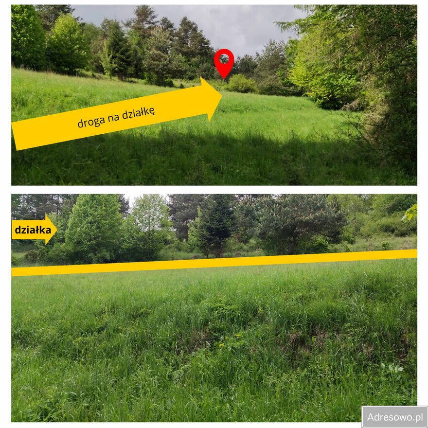 Działka rolna Szlachtowa. Zdjęcie 8
