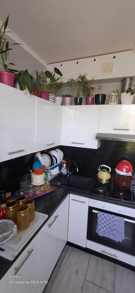 Mieszkanie 2-pokojowe Tychy, ul. Elfów. Zdjęcie 2