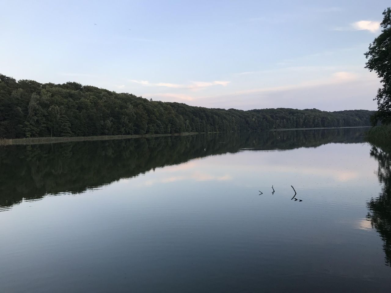 Działka leśna Broda. Zdjęcie 12
