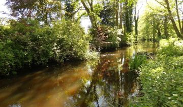 Działka budowlana Łoźnica