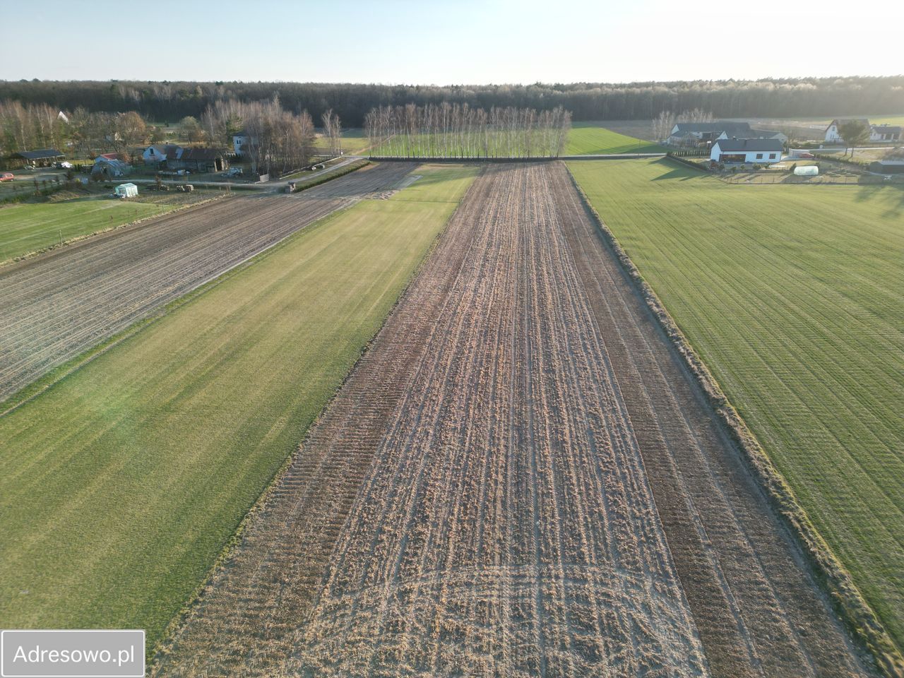 Działka budowlana Skrzynice-Kolonia. Zdjęcie 3