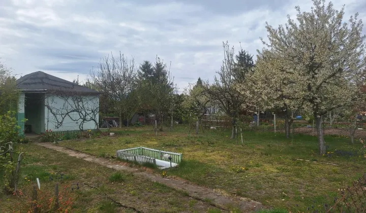 Działka rod Ciechanów