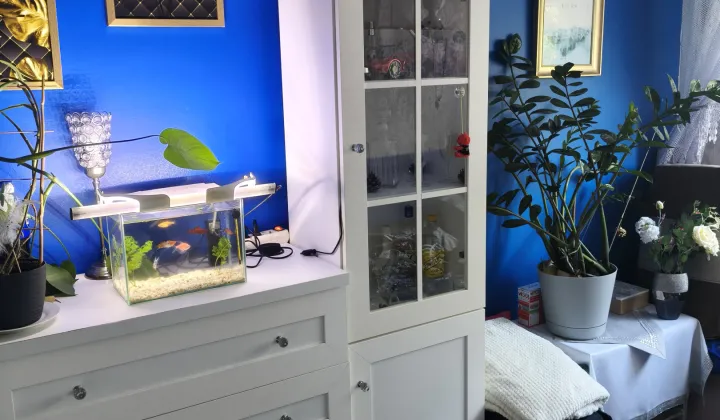 Mieszkanie 3-pokojowe Dąbrowa Górnicza Gołonóg, ul. Marcina Kasprzaka