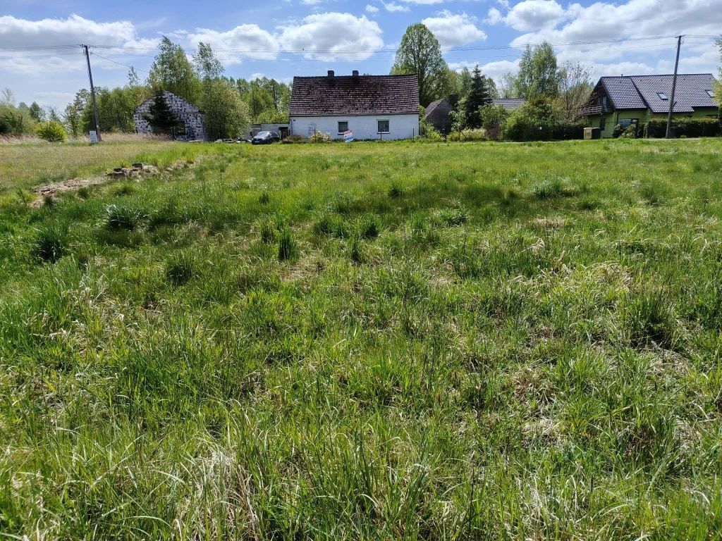 Działka rolno-budowlana Rychlik. Zdjęcie 3
