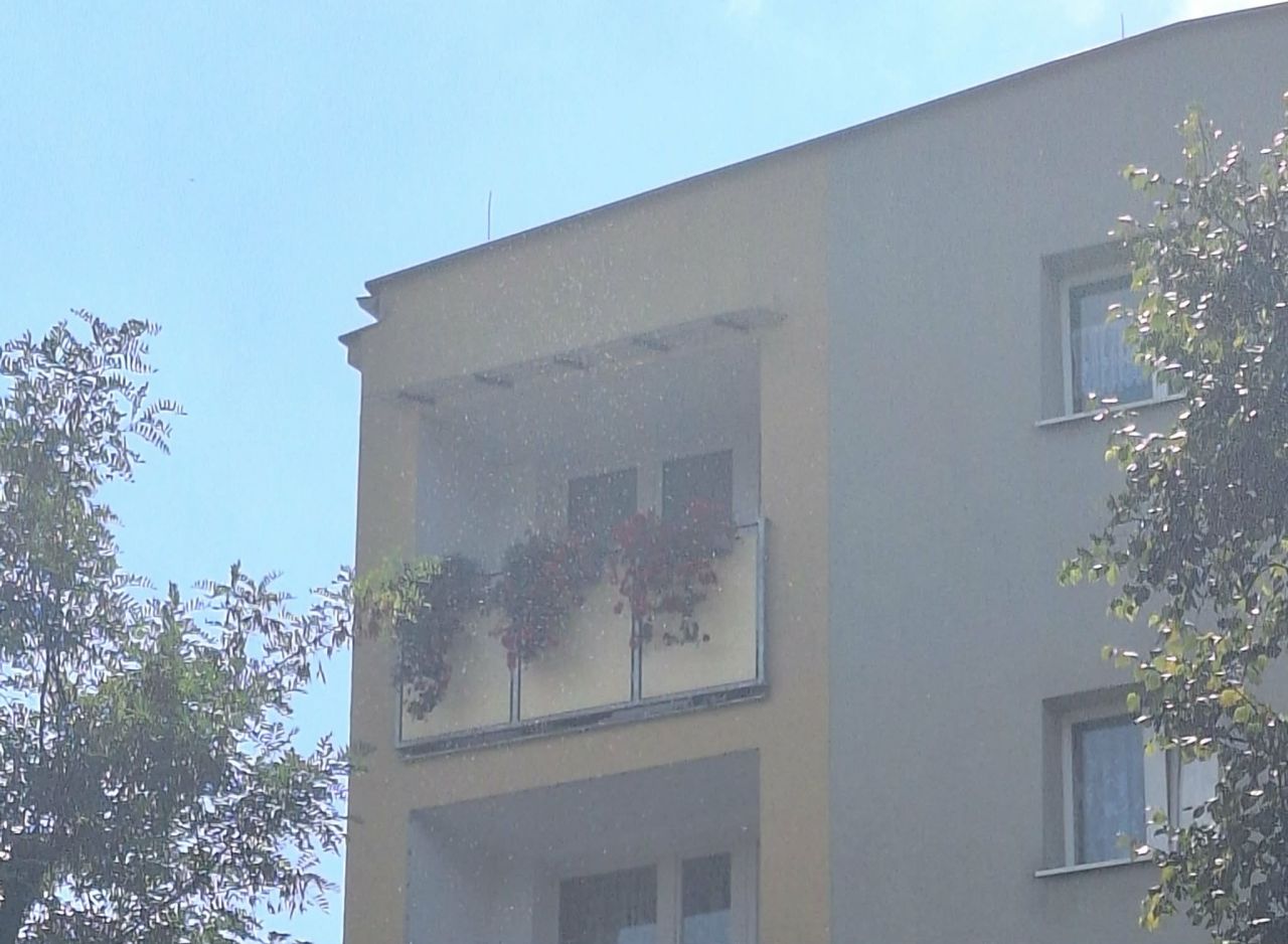 Mieszkanie 3-pokojowe Ruda Śląska Nowy Bytom, ul. Chorzowska. Zdjęcie 17