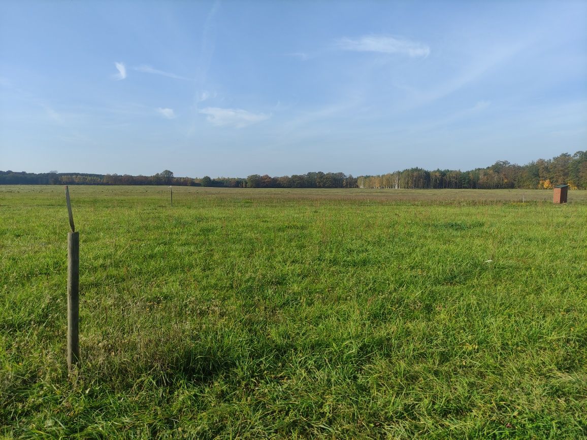 Działka budowlana Lubieszów