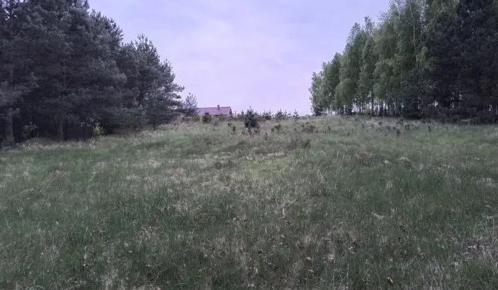 Działka rolna Jarczewo