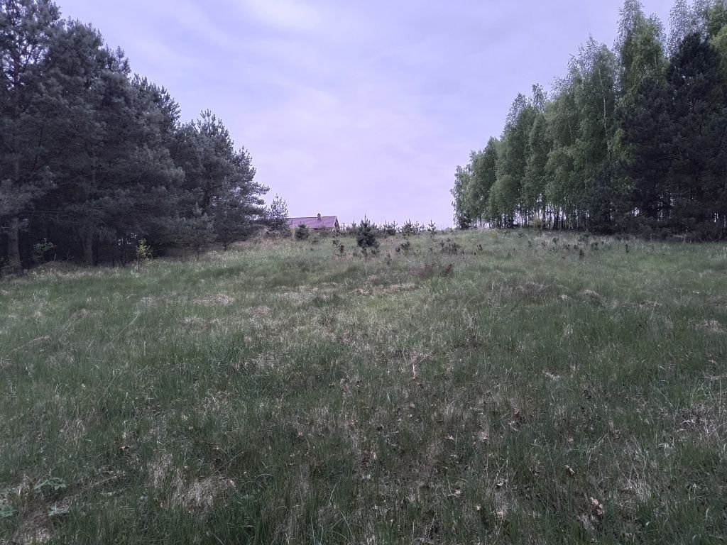 Działka rolna Jarczewo