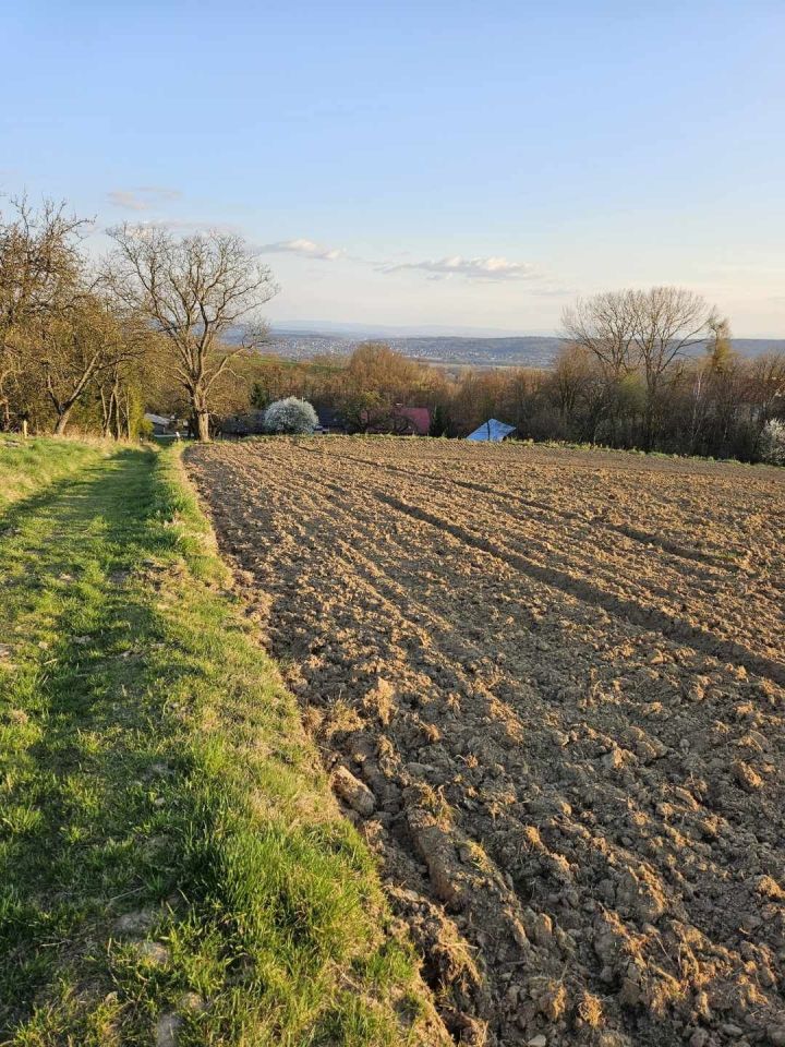 Działka rolno-budowlana Bolechowice. Zdjęcie 3