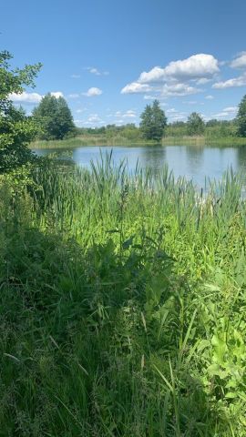 Działka leśna Ostrówek. Zdjęcie 1