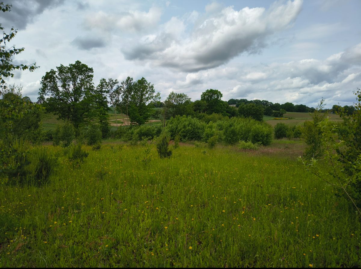 Działka budowlana Żukowo