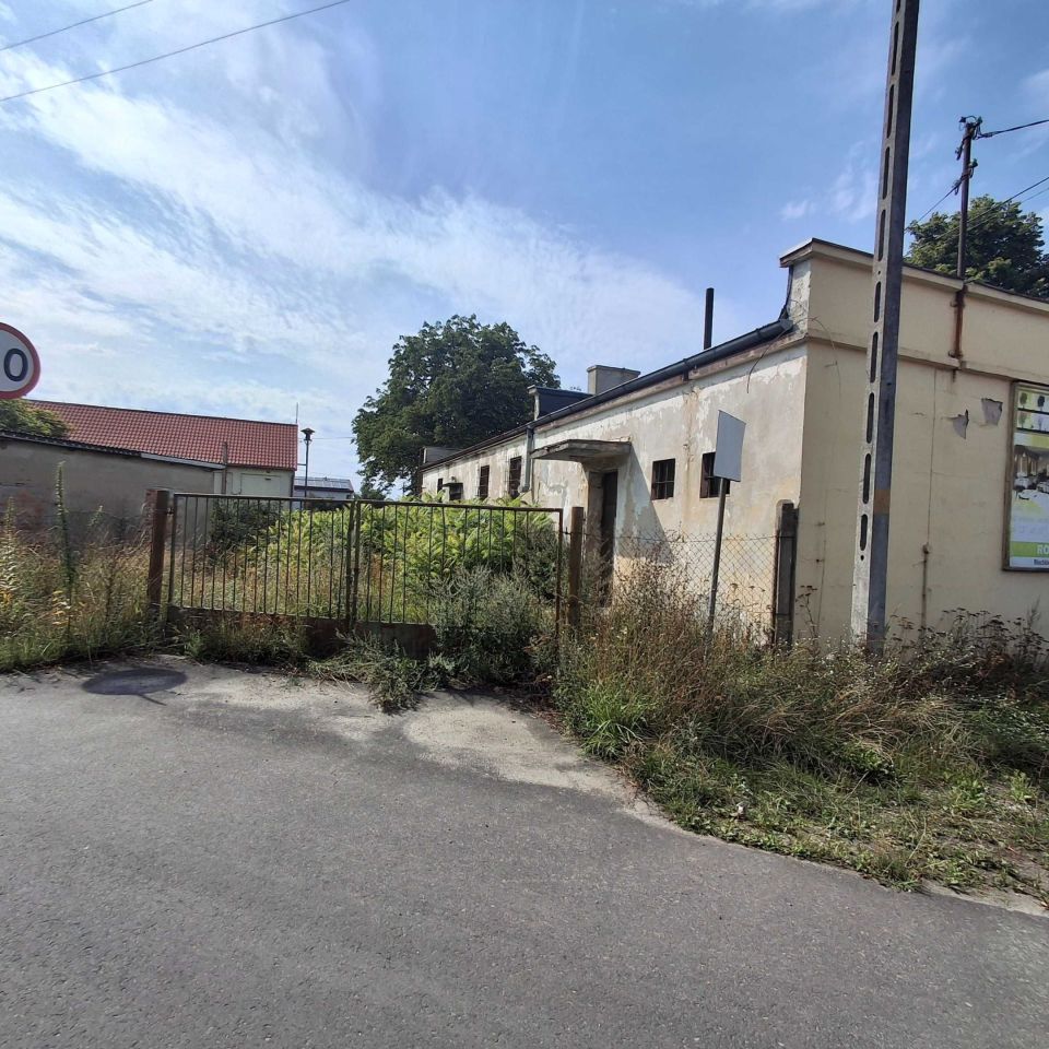 Lokal Niechlów. Zdjęcie 5