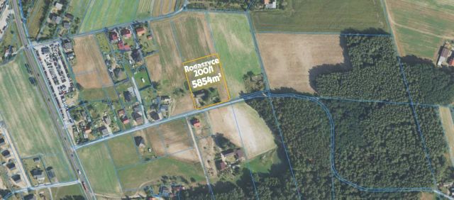 Działka rolno-budowlana Rogaszyce. Zdjęcie 1