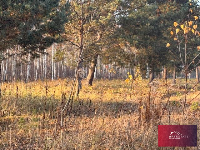 Działka budowlana Nowomłyny. Zdjęcie 8