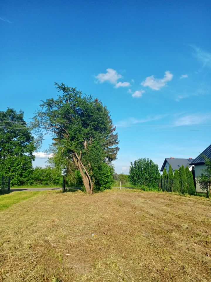 Działka rolno-budowlana Bereza. Zdjęcie 10