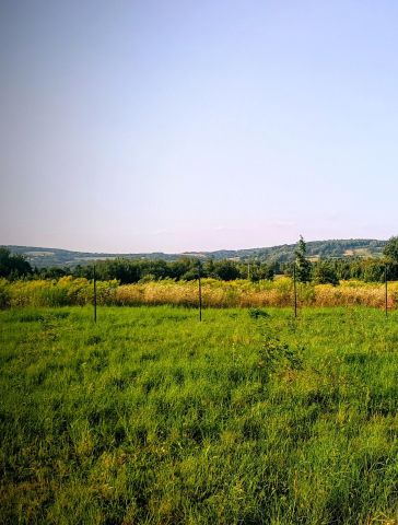 Działka rolno-budowlana Górno, ul. Targowa. Zdjęcie 1
