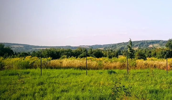 Działka rolno-budowlana Górno, ul. Targowa