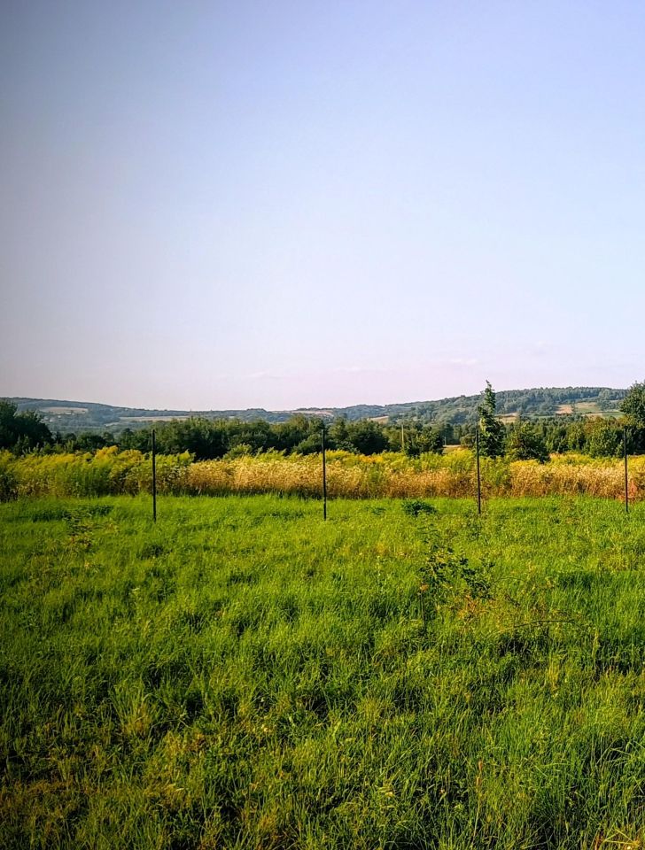 Działka rolno-budowlana Górno, ul. Targowa. Zdjęcie 1