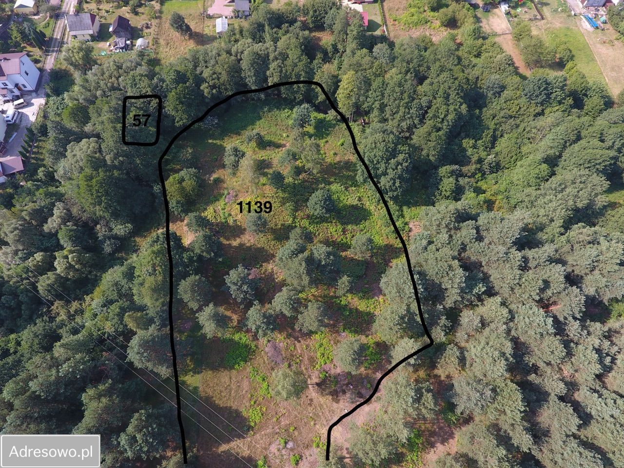 Działka budowlana Zagnańsk. Zdjęcie 8