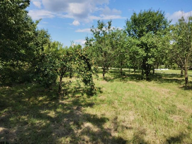 Działka budowlana Malawa. Zdjęcie 1