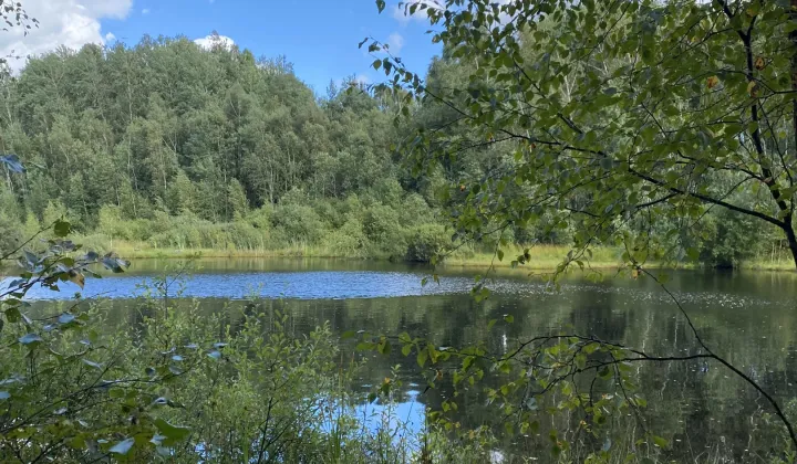 Działka rolna Grabowska Huta, ul. Kapliczna