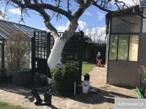 Działka rod Słupsk, al. 3 Maja. Zdjęcie 3